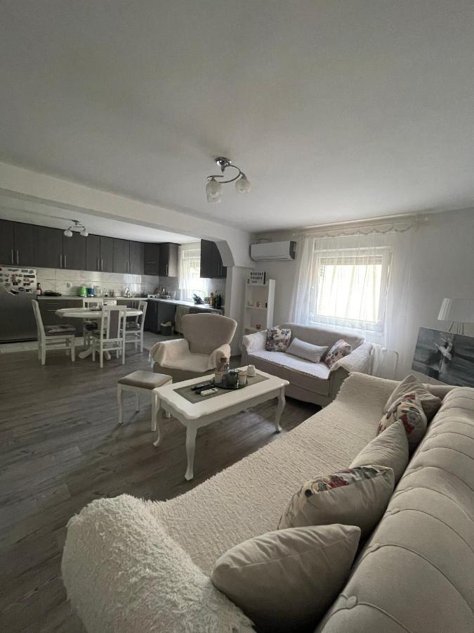Antic Apartment Пожаревац Экстерьер фото